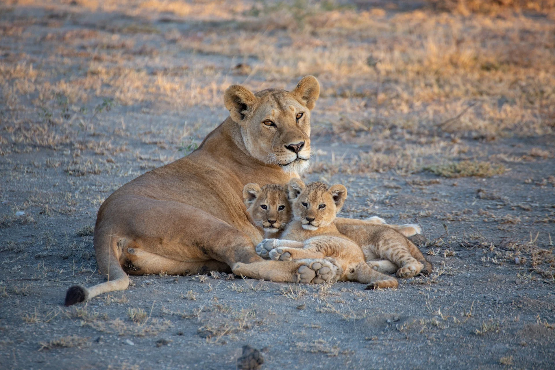 Botswana