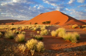 rote düne sossusvlei namibia